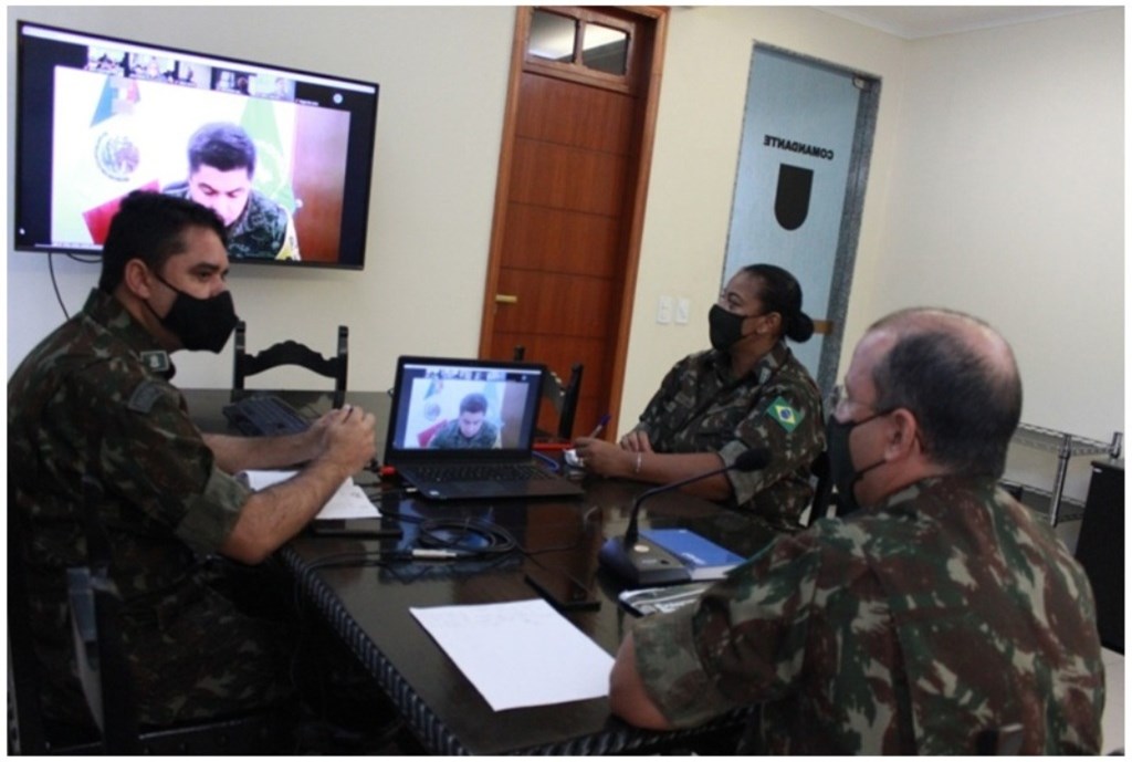 Reu Coord ALCOPAZ Abr21 004