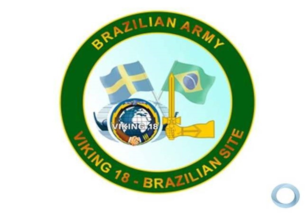 reuniao viking novt21 009