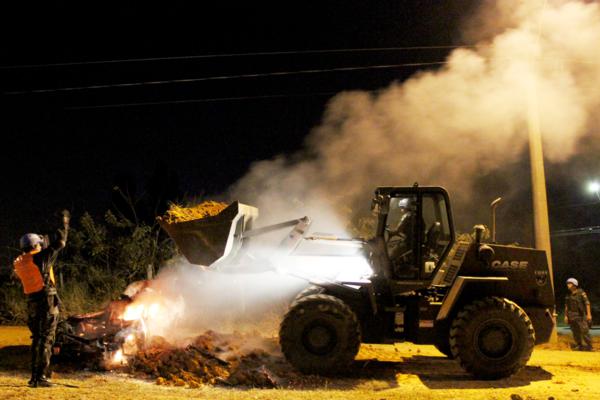 IMG 0892 600x400